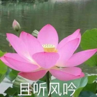 永定河北京段各水毁修复工程基本完工！河道恢复行洪功能